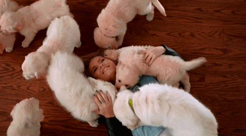 puppies gif