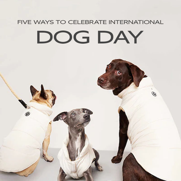 Best International Dog Day Products