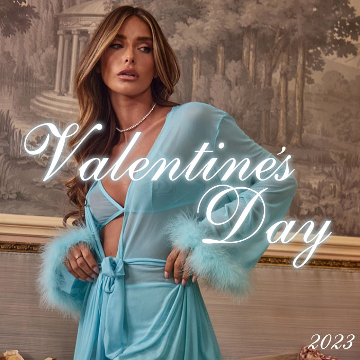 Your 2023 Valentines Day Guide, The 411